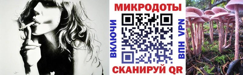 Псилоцибиновые грибы Cubensis  даркнет формула  Бодайбо  хочу наркоту 